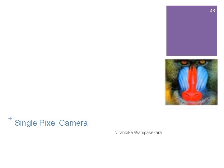 48 + Single Pixel Camera Nirandika Wanigasekara 48 + Single Pixel Camera Nirandika Wanigasekara