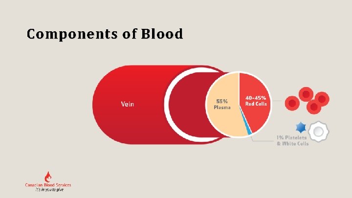 Components of Blood 