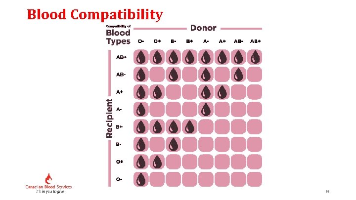 Blood Compatibility 19 