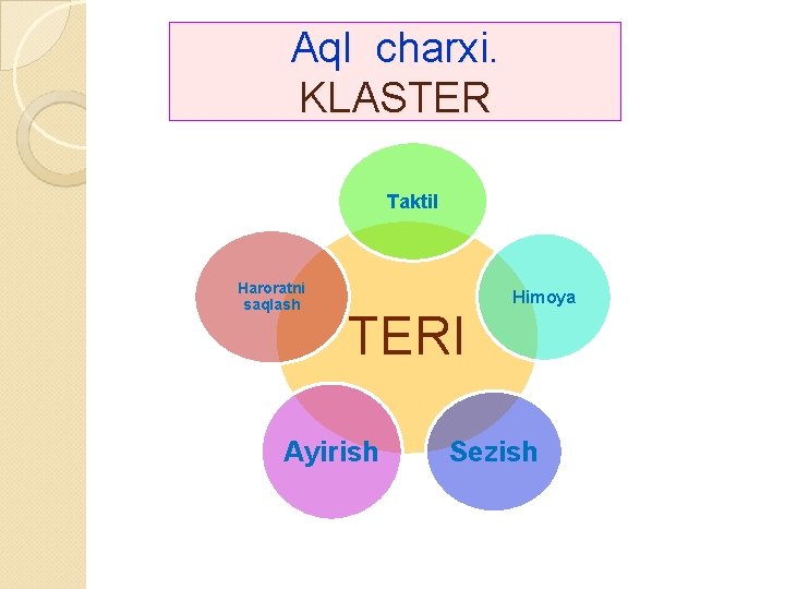 Aql charxi. KLASTER Taktil Haroratni saqlash Himoya TERI Ayirish Sezish 6 