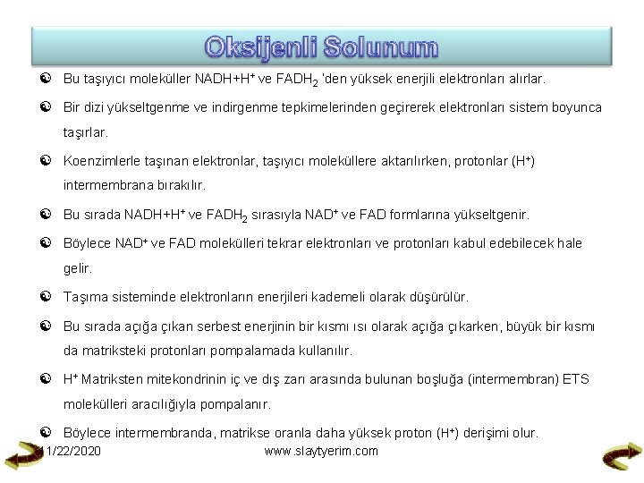  Bu taşıyıcı moleküller NADH+H+ ve FADH 2 ‘den yüksek enerjili elektronları alırlar. Bir