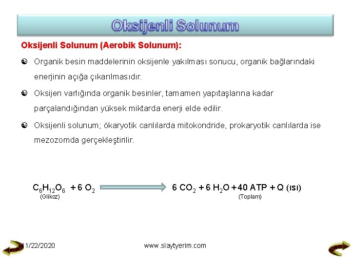 Oksijenli Solunum (Aerobik Solunum): Organik besin maddelerinin oksijenle yakılması sonucu, organik bağlarındaki enerjinin açığa