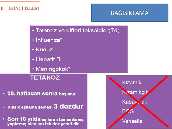 BAĞIŞIKLAMA 