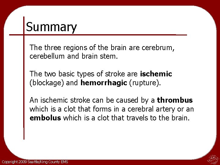 Summary The three regions of the brain are cerebrum, cerebellum and brain stem. The