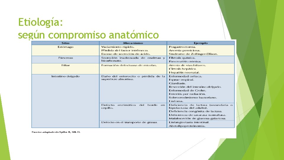 Etiología: según compromiso anatómico 