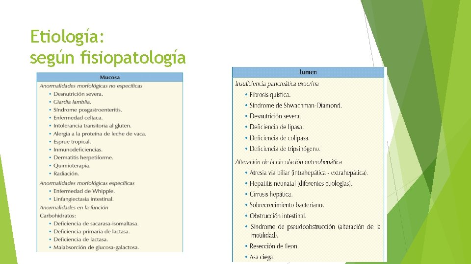 Etiología: según fisiopatología 