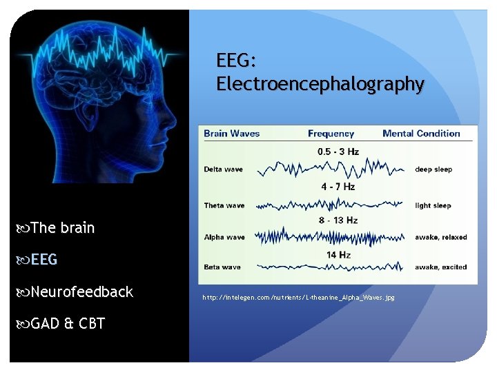 EEG: Electroencephalography The brain EEG Neurofeedback GAD & CBT http: //intelegen. com/nutrients/L-theanine_Alpha_Waves. jpg 