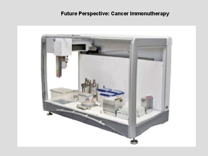 Future Perspective: Cancer Immonutherapy 
