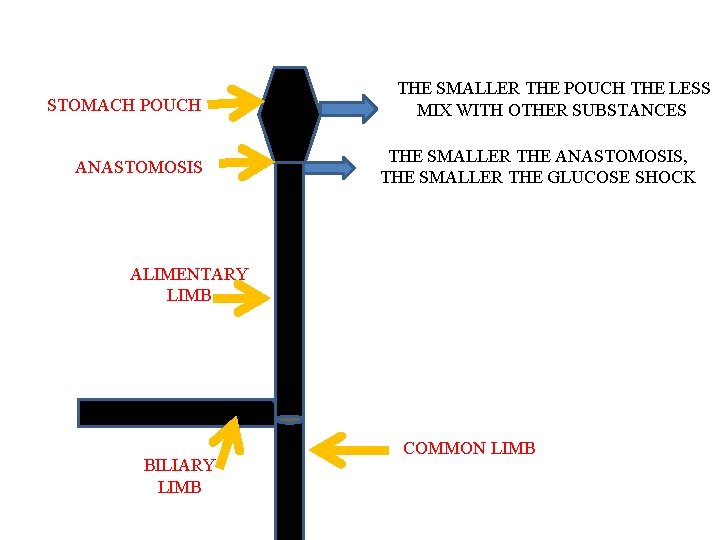 STOMACH POUCH ANASTOMOSIS THE SMALLER THE POUCH THE LESS MIX WITH OTHER SUBSTANCES THE