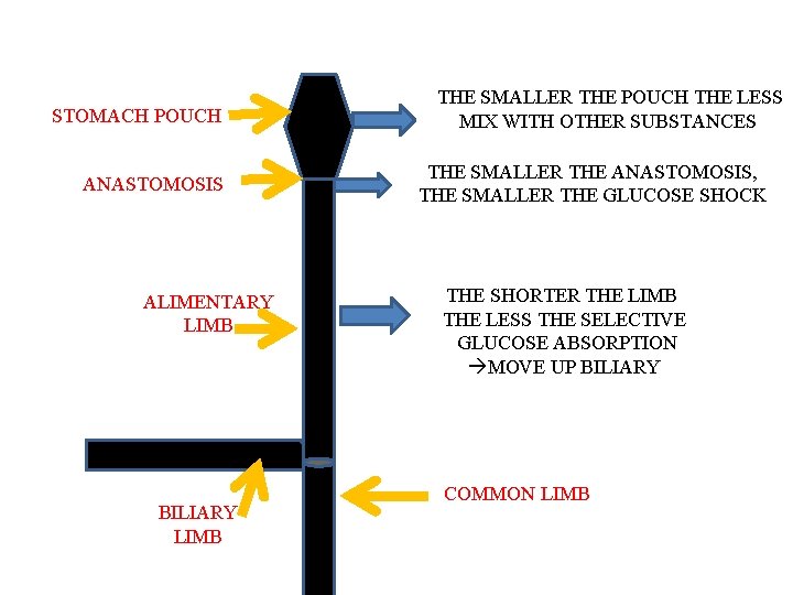 STOMACH POUCH ANASTOMOSIS ALIMENTARY LIMB BILIARY LIMB THE SMALLER THE POUCH THE LESS MIX
