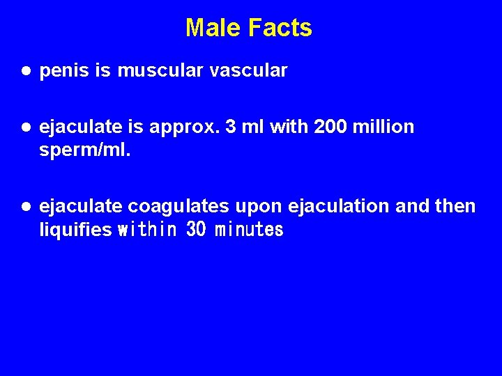 Male Facts l penis is muscular vascular l ejaculate is approx. 3 ml with