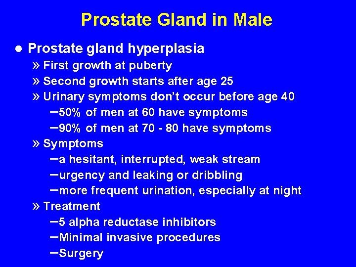 Prostate Gland in Male l Prostate gland hyperplasia » First growth at puberty »