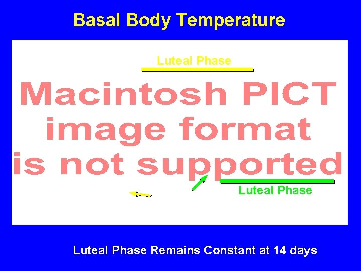 Basal Body Temperature Luteal Phase Ovulation Luteal Phase Remains Constant at 14 days 