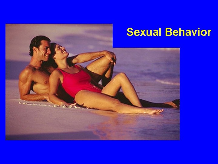 Sexual Behavior 