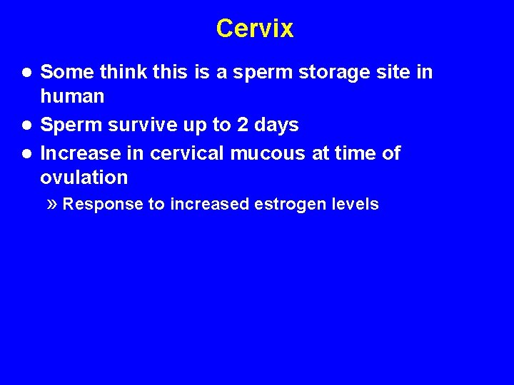 Cervix Some think this is a sperm storage site in human l Sperm survive