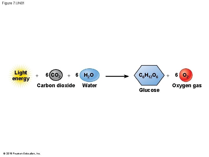 Figure 7. UN 01 Light energy + 6 CO 2 + 6 Carbon dioxide