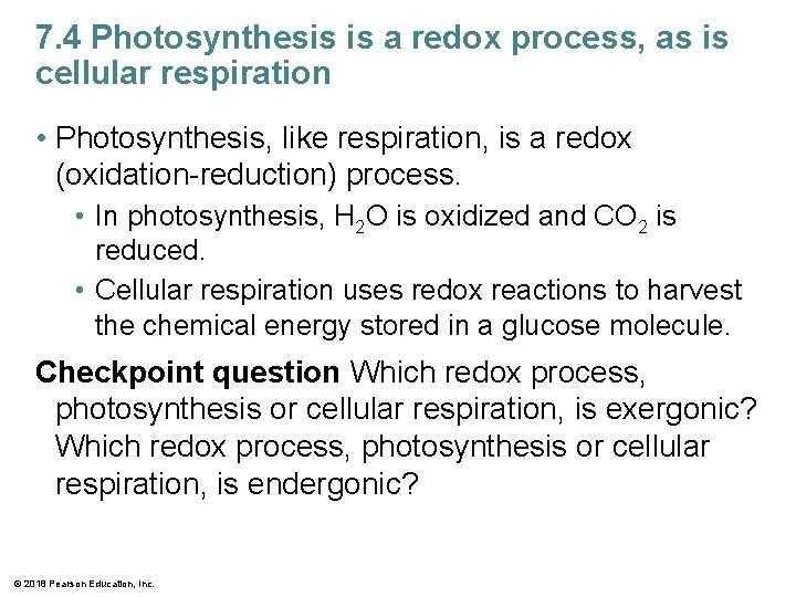 7. 4 Photosynthesis is a redox process, as is cellular respiration • Photosynthesis, like
