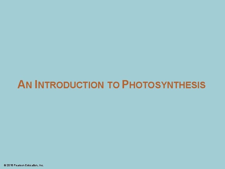 AN INTRODUCTION TO PHOTOSYNTHESIS © 2018 Pearson Education, Inc. 