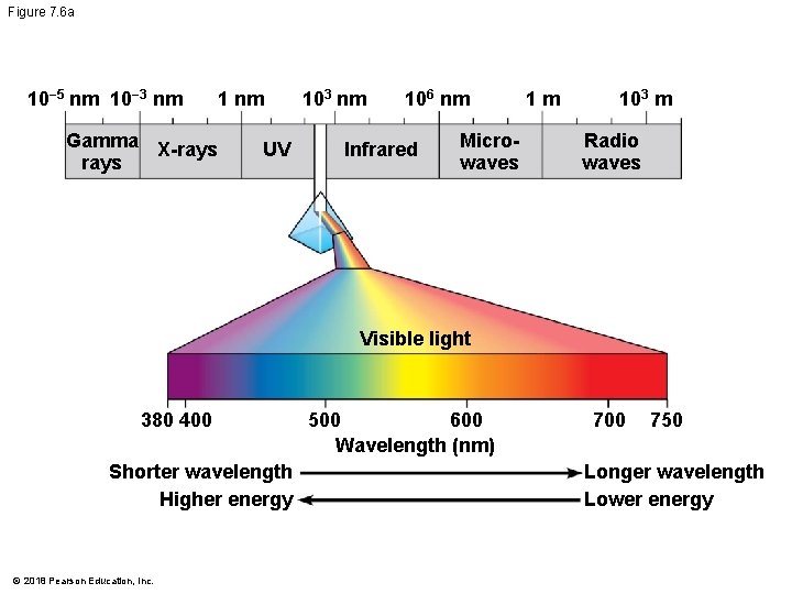 Figure 7. 6 a 10− 5 nm 10− 3 nm Gamma X-rays 1 nm