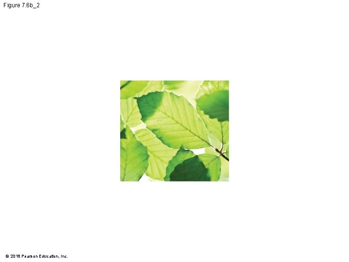 Figure 7. 6 b_2 © 2018 Pearson Education, Inc. 