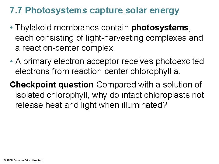 7. 7 Photosystems capture solar energy • Thylakoid membranes contain photosystems, each consisting of