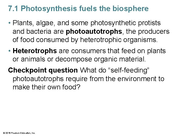 7. 1 Photosynthesis fuels the biosphere • Plants, algae, and some photosynthetic protists and