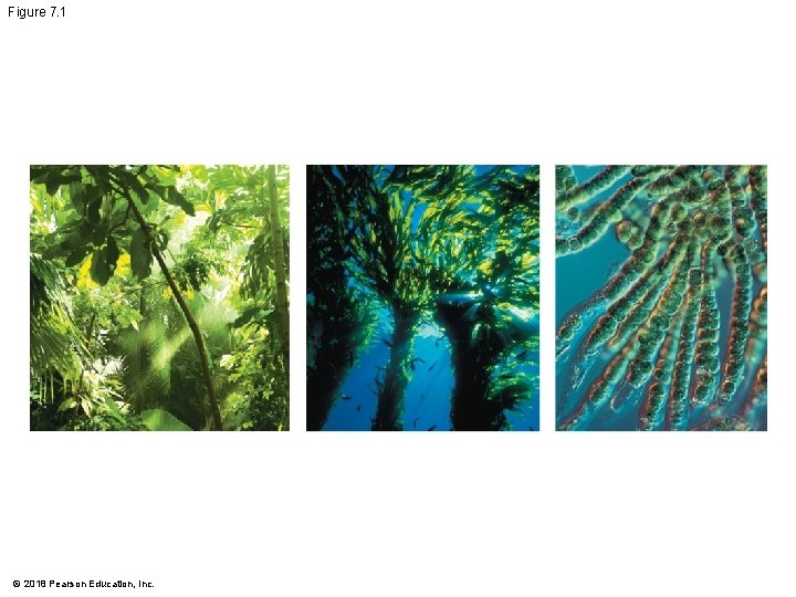 Figure 7. 1 © 2018 Pearson Education, Inc. 