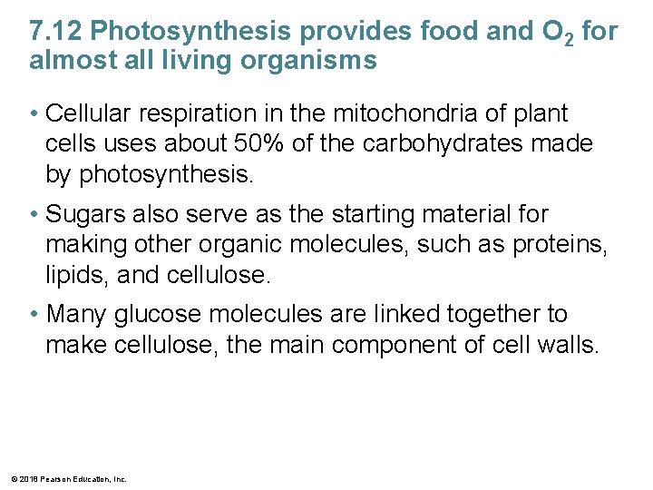 7. 12 Photosynthesis provides food and O 2 for almost all living organisms •