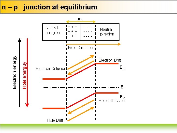 n – p junction at equilibrium DR Neutral n-region +++ +++ ----- Neutral p-region
