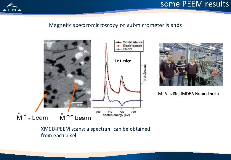 some PEEM results Magnetic spectromicroscopy on submicrometer islands Fe-L edge M. A. Niño, IMDEA