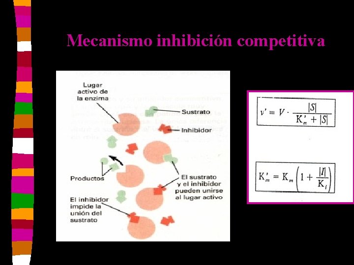 Mecanismo inhibición competitiva 