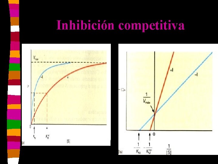 Inhibición competitiva 