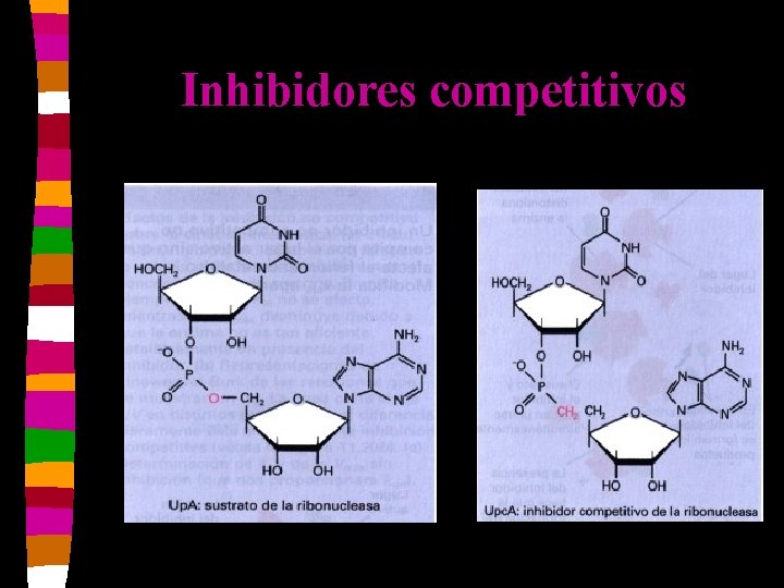 Inhibidores competitivos 