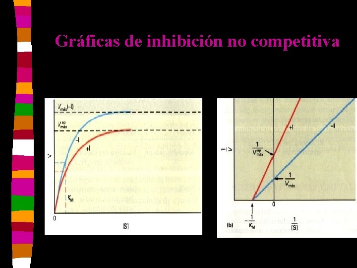 Gráficas de inhibición no competitiva 