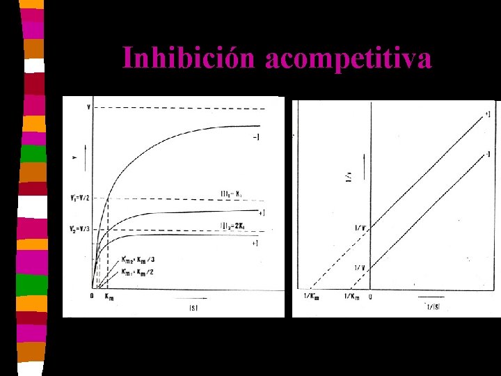 Inhibición acompetitiva 