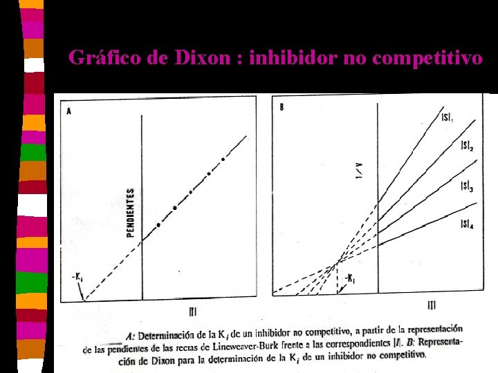 Gráfico de Dixon : inhibidor no competitivo 