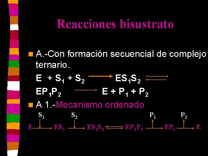 Reacciones bisustrato n A. -Con formación secuencial de complejo ternario. E + S 1