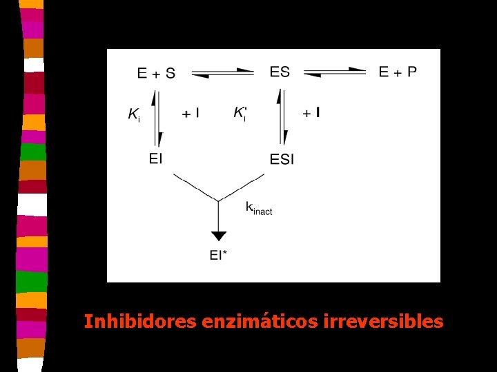 Inhibidores enzimáticos irreversibles 