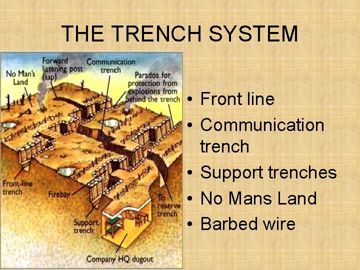 THE TRENCH SYSTEM • Front line • Communication trench • Support trenches • No