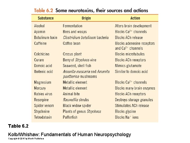 Table 6. 2 Kolb/Whishaw: Fundamentals of Human Neuropsychology Copyright © 2015 by Worth Publishers