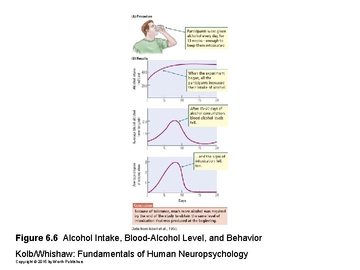 Figure 6. 6 Alcohol Intake, Blood-Alcohol Level, and Behavior Kolb/Whishaw: Fundamentals of Human Neuropsychology