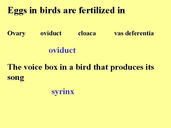 Eggs in birds are fertilized in Ovary oviduct cloaca vas deferentia oviduct The voice