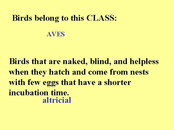Birds belong to this CLASS: AVES Birds that are naked, blind, and helpless when