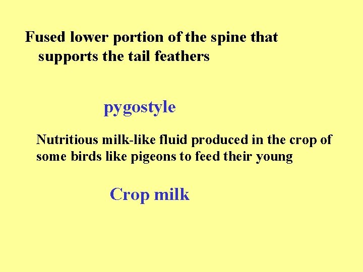 Fused lower portion of the spine that supports the tail feathers pygostyle Nutritious milk-like