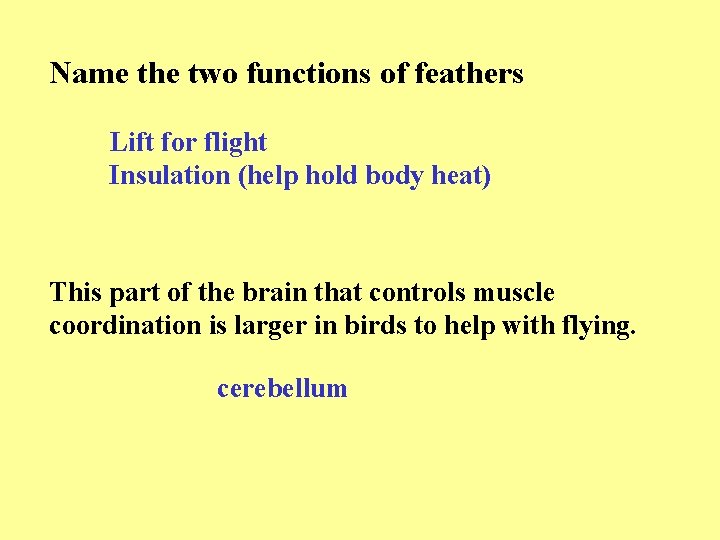 Name the two functions of feathers Lift for flight Insulation (help hold body heat)