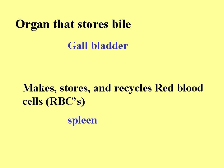 Organ that stores bile Gall bladder Makes, stores, and recycles Red blood cells (RBC’s)