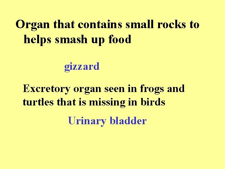 Organ that contains small rocks to helps smash up food gizzard Excretory organ seen