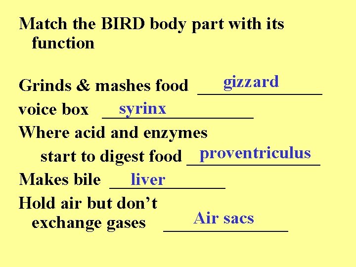 Match the BIRD body part with its function gizzard Grinds & mashes food _______