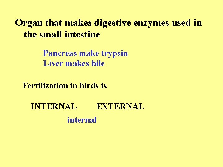Organ that makes digestive enzymes used in the small intestine Pancreas make trypsin Liver