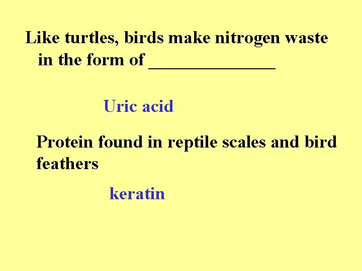 Like turtles, birds make nitrogen waste in the form of _______ Uric acid Protein